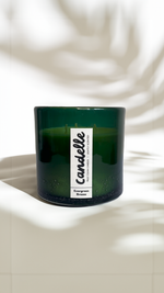 Evergreen Breeze - Fir and Black Spruce Hand-blown Glass Candle (15 oz)