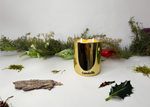 Evergreen Breeze - Fir and Black Spruce GOLD Candle (8 oz)